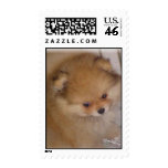 Baby postage