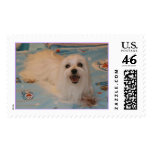 Baby postage