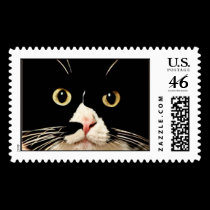 Baby postage stamp stamps