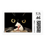 Baby postage stamp