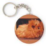 Baby Powder Puff - Guinea Pig Key Chains