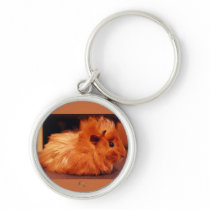 Baby Powder Puff - Guinea Pig Key Chain