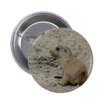 baby prairie dog buttons