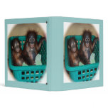 Baby Primate Sleepover binders