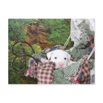 Baby Puppy Carriage Ride postcards by beverlytazangel Baby Puppy Carriage Ride postcards