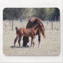 Baby Quarterhorse mousepads