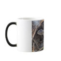 Baby rabbits hiding in leaves mugs by chrhen2007 Baby rabbits hiding in leaves mugs