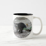 Baby Raccoon Mug