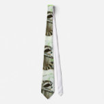 Baby Raccoon & Texas Mesquite Tree Neck Tie