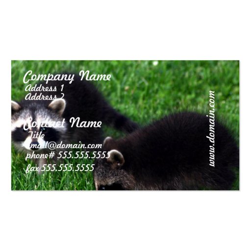 Baby Raccoons Business Cards (front side)