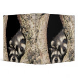 Baby raccoons in tree cavity Procyon Vinyl Binder