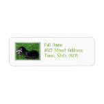 Baby Raccoons  Mailing Labels