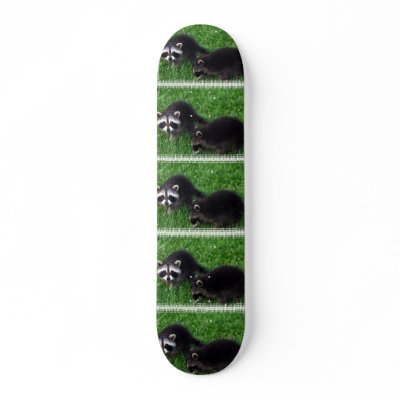 Baby Raccoons  Skateboard by WildlifeAnimals