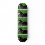 Baby Raccoons  Skateboard