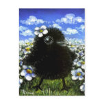 Baby raven and daisies post card