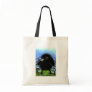 Baby raven bag