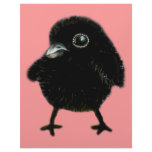 Baby raven letterhead template