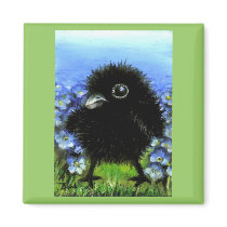 Baby raven magnets