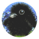Baby raven round stickers