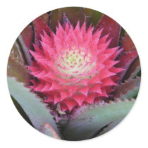 Baby Red Pineapple Sticker by dlgray Baby Red Pineapple Sticker