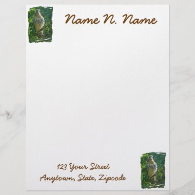 Baby  Tailed Hawk on Baby Red Tailed Hawk Letterhead Stationery From Zazzle Com