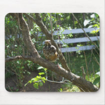 Baby Robin-Earh Day mousepads