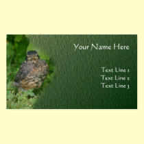 Baby Robin Fledgling Bird Nature Business Card business cards