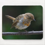 Baby Robin Mouspad Mouse Pad