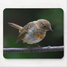 Baby Robin Mouspad Mouse Pad