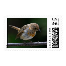 Baby Robin Postage