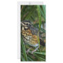 Baby Robin Customized Rack Card