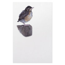 baby robin stationery by WorldDesign baby robin stationery