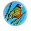 Baby Robin t-shirts