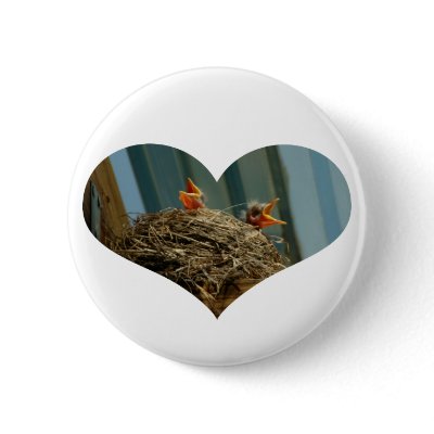 Baby Robins Heart Button by thehatch