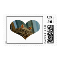 Baby Robins Heart Postage Stamp