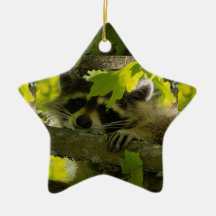 Baby Roccoon Ornament
