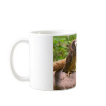 Baby Saw Whet Owls Mug