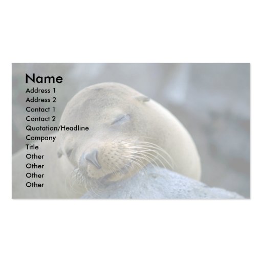Baby sea lion, Galapagos Islands Business Card Template