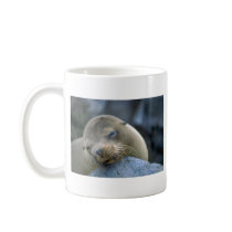 Baby sea lion, Galapagos Islands Mugs