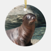 Baby Sea Lion Ornament