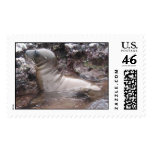 Baby Sea Lion postage