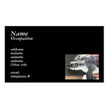 Baby Sea Turtle Business Card