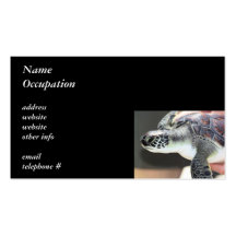 Baby Sea Turtle Business Card