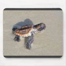 Baby Sea Turtle, Just Hatched Mouse Pad