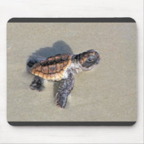 Baby Sea Turtle, Just Hatched Mouse Pad