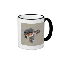 Baby Sea Turtle, Just Hatched Mug