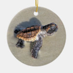 Baby Sea Turtle, Just Hatched Christmas Tree Ornaments
