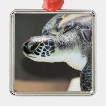 Baby Sea Turtle Ornament