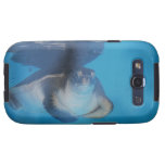 Baby Sea Turtle Phone Case Galaxy S3 Covers