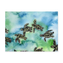 baby sea turtles reptile animal wildlife painting post card